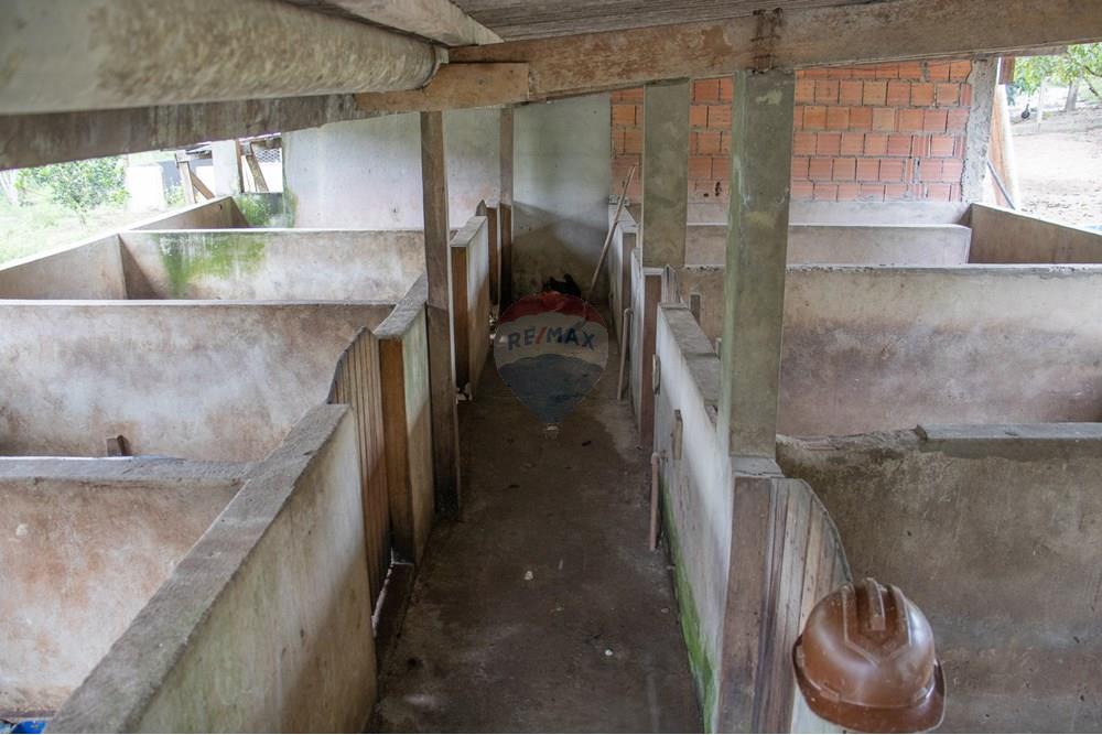 Chácara / Sítio / Fazenda - Venda - Novo Airão , Amazonas - IMG_7408.jpg - 720721055-29