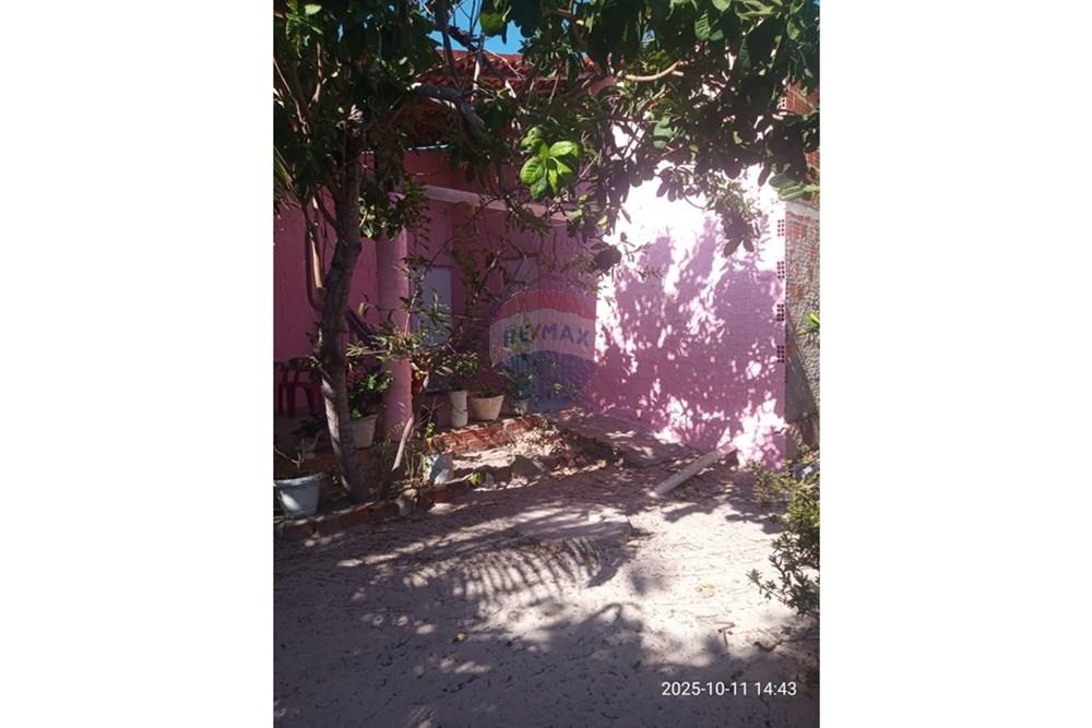 Chácara / Sítio / Fazenda - Venda - Parnaíba , Piauí - WhatsApp Image 2025-10-15 at 09.35.36 (2).jpeg - 722361007-3