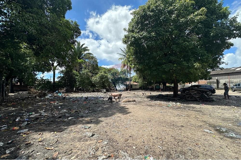 Terreno - Alugar - Fortaleza , Ceará - WhatsApp Image 2025-04-24 at 11.14.05.jpeg - 721621017-82