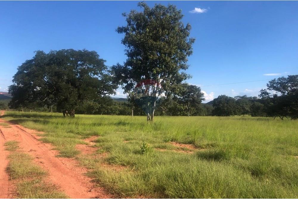 Fazenda - Venda - Guiratinga , Mato Grosso - IMG-20250812-WA0131.jpg - 721981068-2