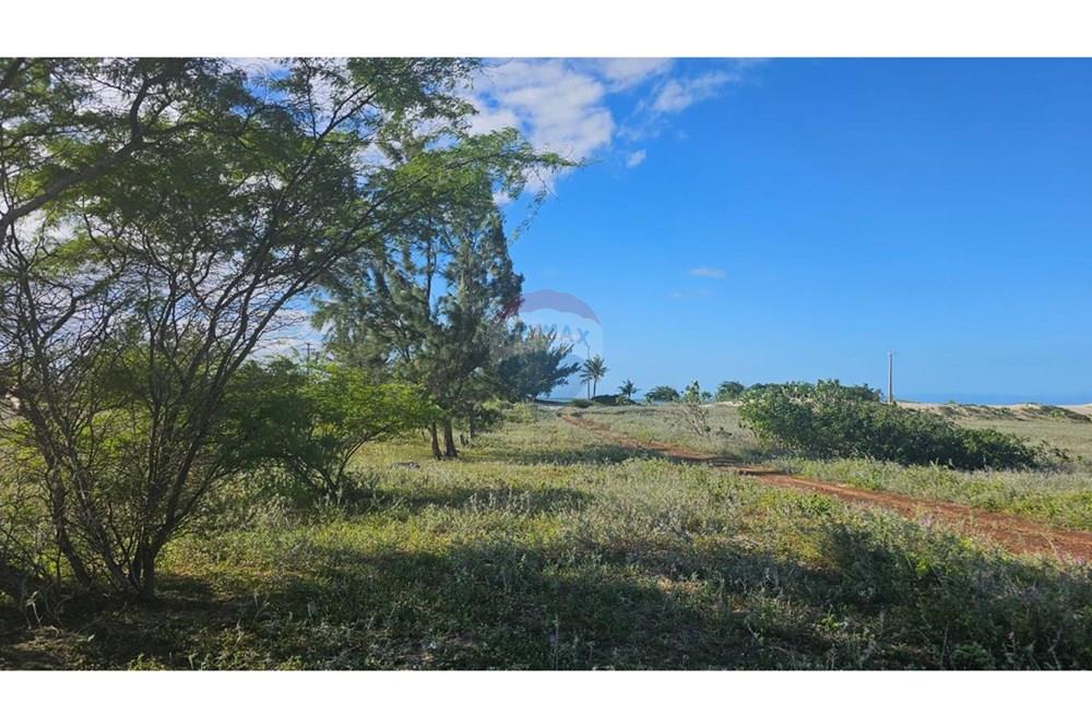 Terreno - Venda - São Miguel do Gostoso , Rio Grande do Norte - WhatsApp Image 2025-07-21 at 06.42.54 (1).jpeg - 720891215-8