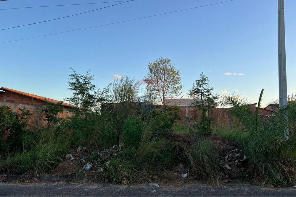 Terreno - Venda - Araguaína , Tocantins - WhatsApp Image 2025-07-01 at 13.03.50 (1).jpeg - 720991038-12