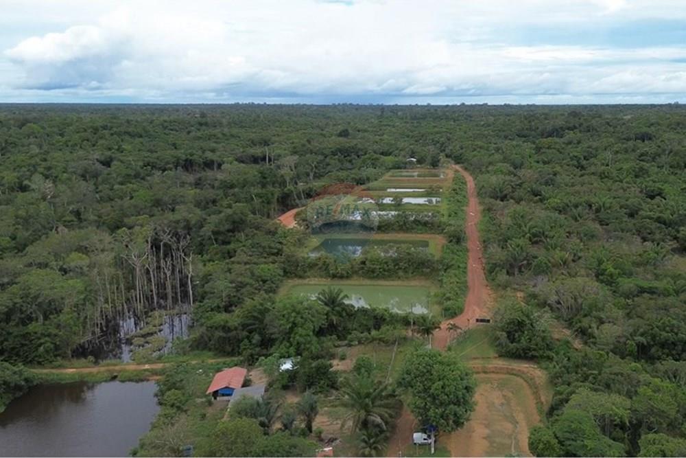 Chácara / Sítio / Fazenda - Venda - Novo Airão , Amazonas - Tanques de Peixes17.jpg - Layout aberto - 720721055-29