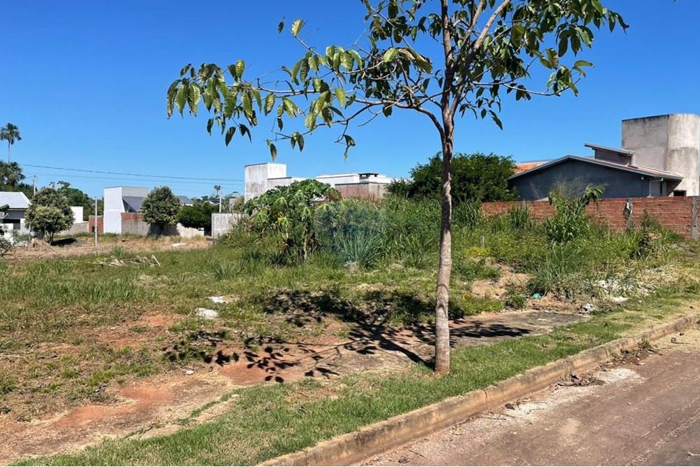 Terreno - Venda - Cacoal , Rondônia - 347.jpg - 722311007-45