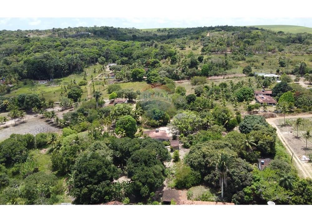 Chácara / Sítio / Fazenda - Venda - Conde , Paraíba - DJI_0269.JPG - 720871004-216