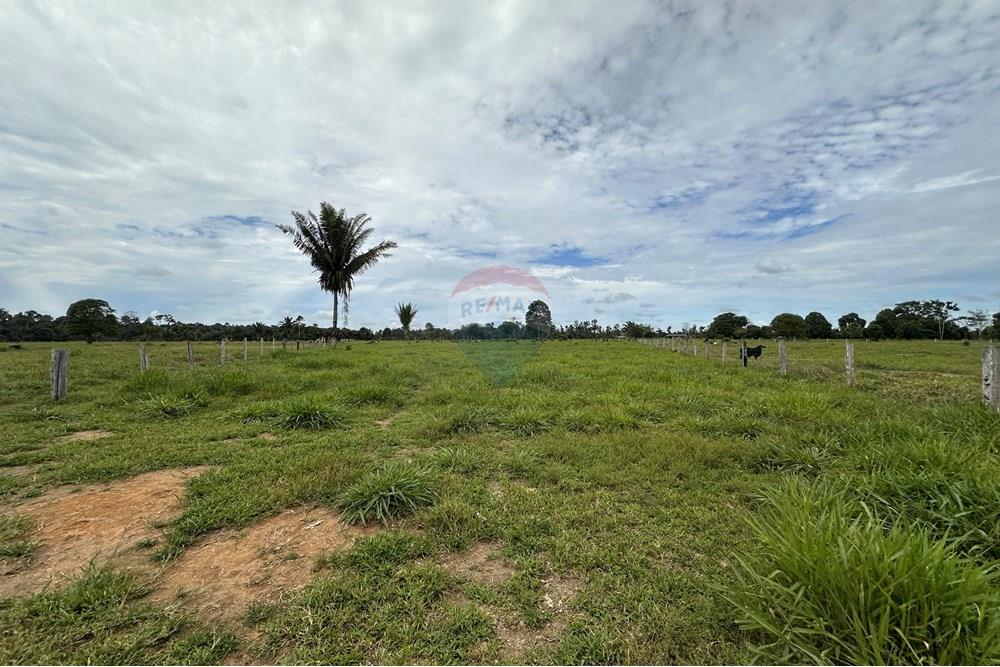 Fazenda - Venda - Itapuã do Oeste , Rondônia - IMG_0333.JPG - 721551004-289