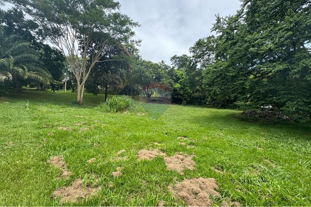 Terreno - Venda - Goiânia , Goiás - WhatsApp Image 2025-03-17 at 15.18.09.jpeg - 722271003-32