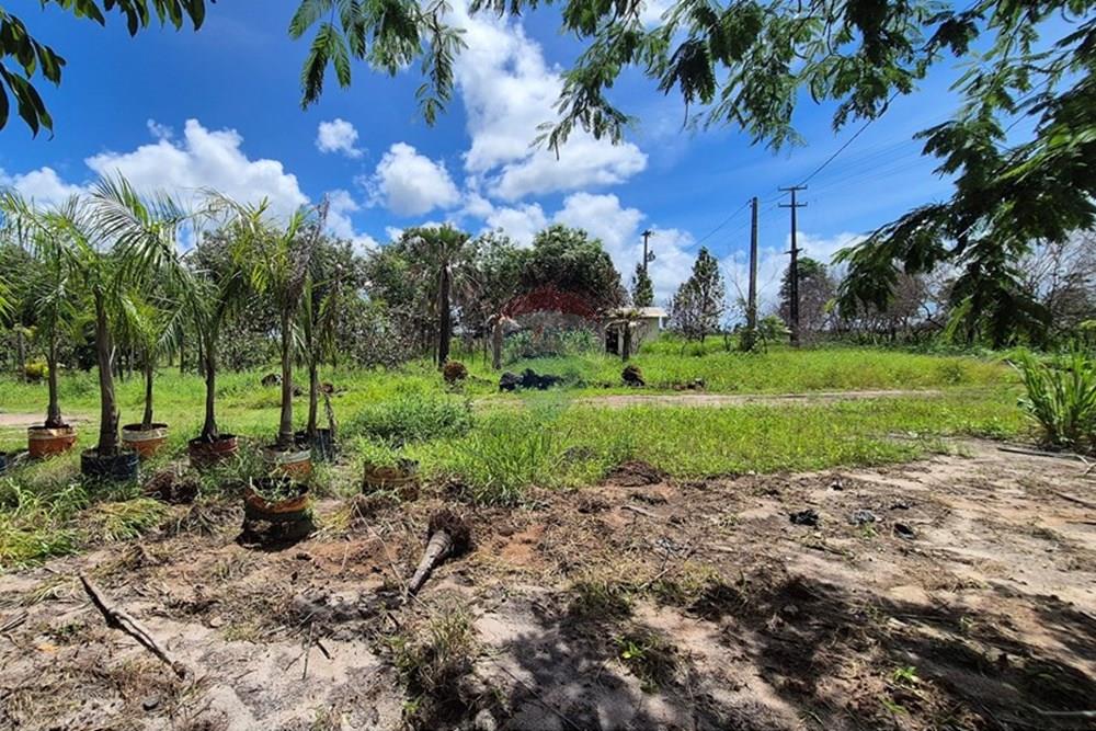 Galpão - Venda - Pedras de Fogo , Paraíba - 20250207_102838.jpg - 722011055-41