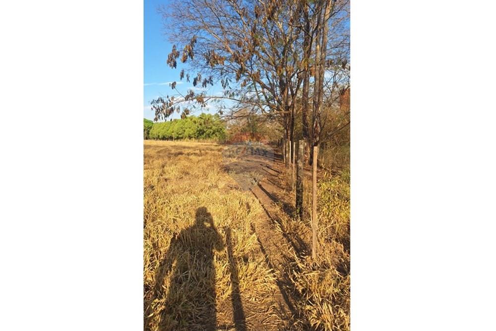 Casa - Venda - Rondonópolis , Mato Grosso - IMG-20250916-WA0129.jpg - 721981068-10