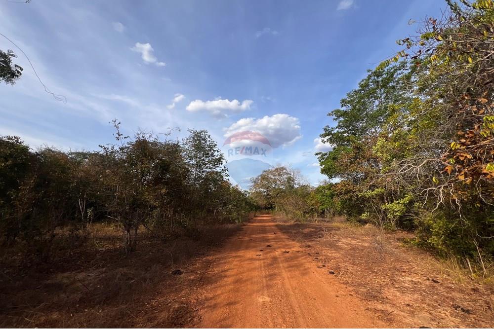 Agro - Venda - Barra do Ouro , Tocantins - WhatsApp Image 2025-08-07 at 10.31.42 (1).jpeg - 720991042-5
