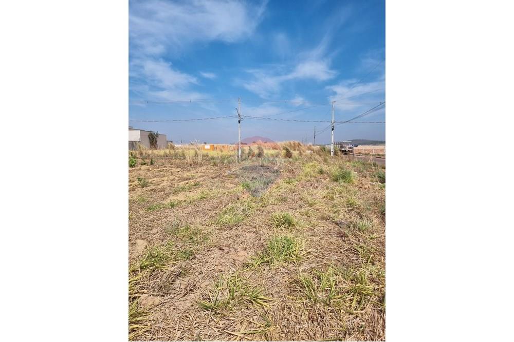 Terreno - Venda - Confresa , Mato Grosso - IMG-20250915-WA0056.jpg - 720641046-6