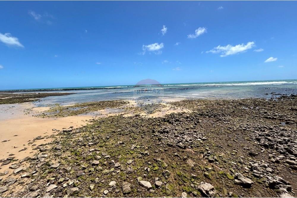 Casa - Alugar - Nísia Floresta , Rio Grande do Norte - WhatsApp Image 2024-11-14 at 18.19.53 (31).jpeg - 720731004-329