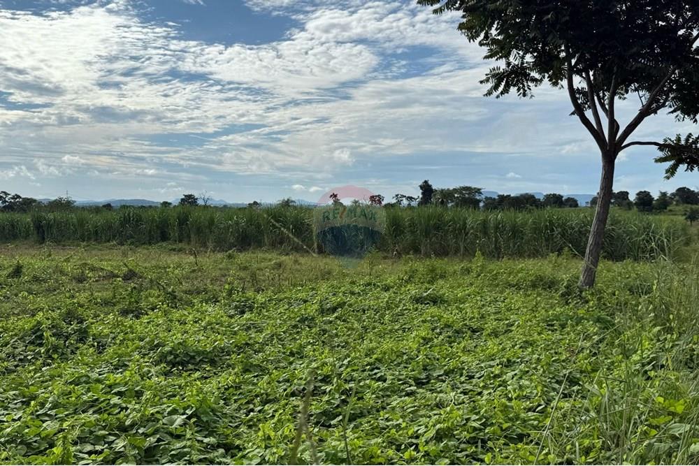 Chácara / Sítio / Fazenda - Venda - São José do Povo , Mato Grosso - IMG-20250407-WA0068.jpg - 720851027-112