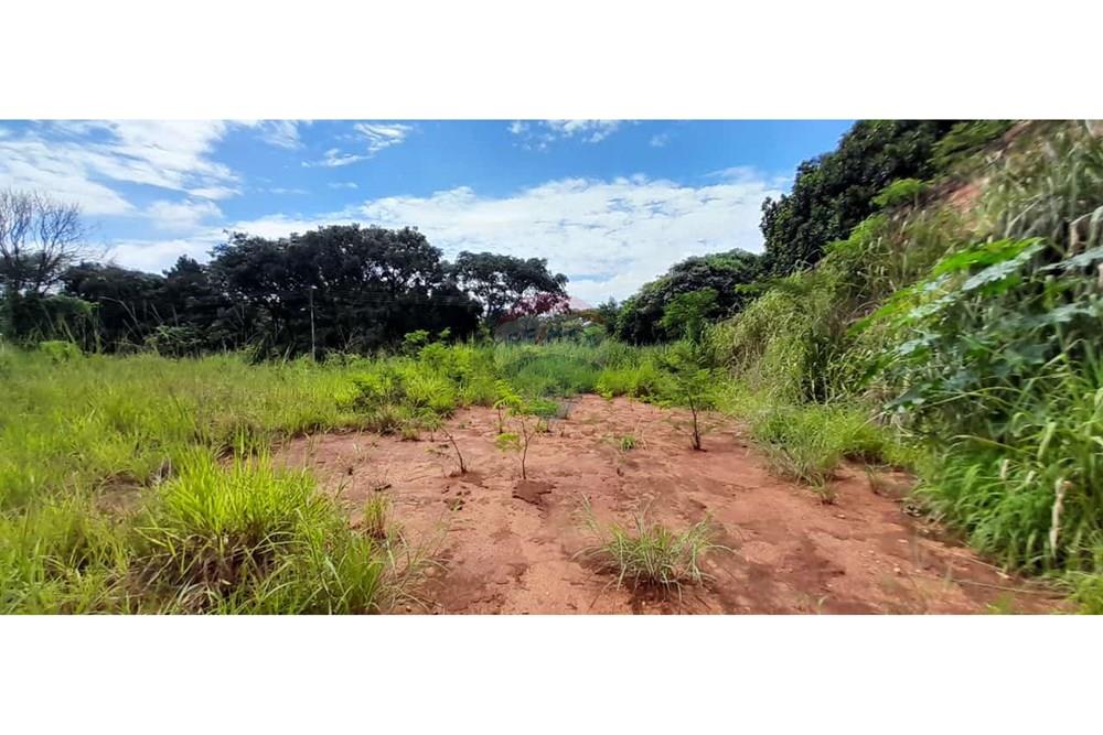 Terreno - Venda - Goiânia , Goiás - LOTE. (2).JPEG.jpg - 722271015-17