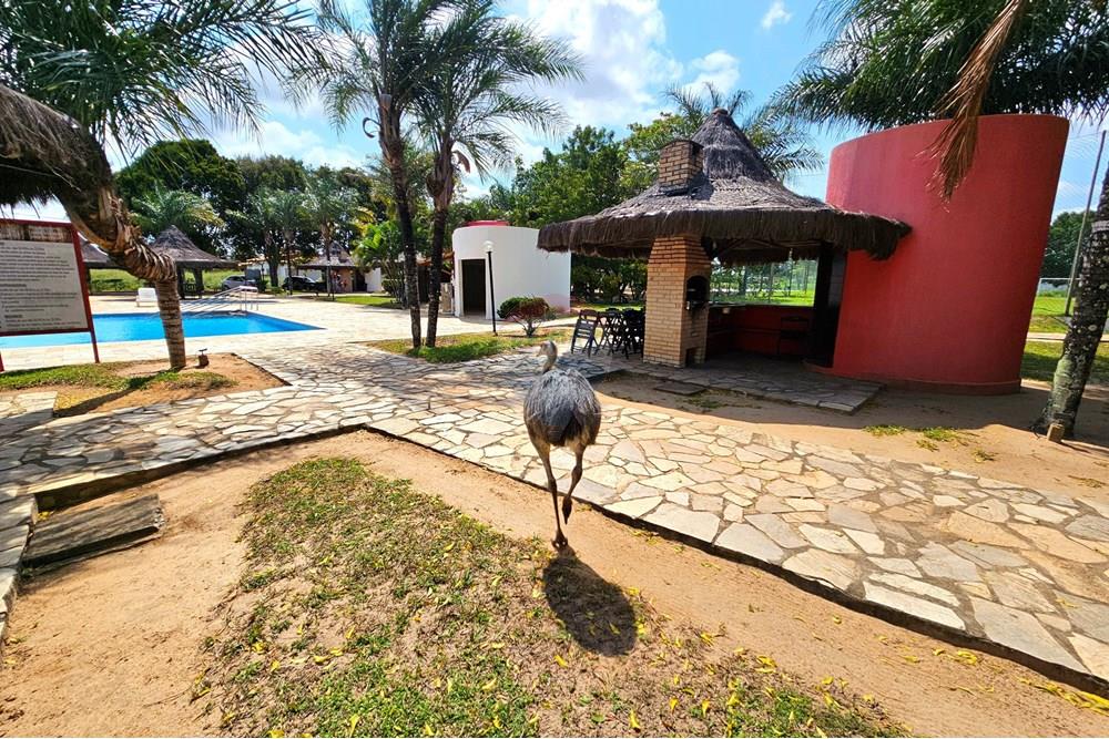 Casa de Condomínio - Venda - Macaíba , Rio Grande do Norte - 20250905_131801.jpg - 720891039-316