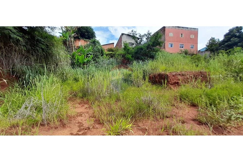 Terreno - Venda - Goiânia , Goiás - LOTE. (7).JPEG.jpg - 722271015-17