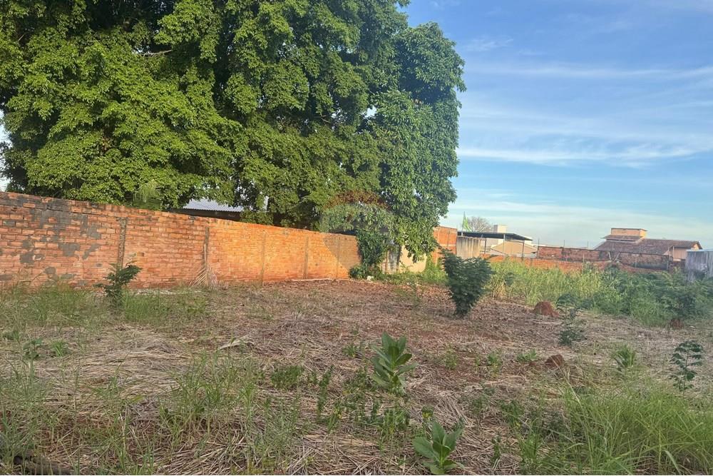 Terreno - Venda - Araguaína , Tocantins - WhatsApp Image 2025-06-24 at 17.09.19 (2).jpeg - 722171039-13