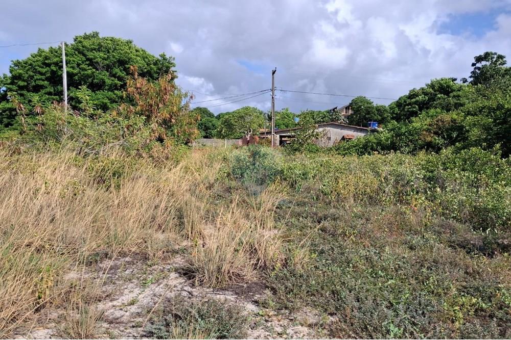 Terreno - Venda - Conde , Paraíba - 1b47cf6f-def2-4626-b6c4-2666bb78671c.jpeg - 720871044-69