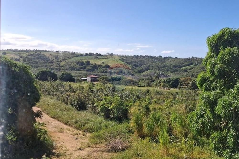 Terreno - Venda - Pitimbu , Paraíba - 76773da2-d3aa-435c-b5b1-e9ec5890dde2.jpeg - 720871044-90