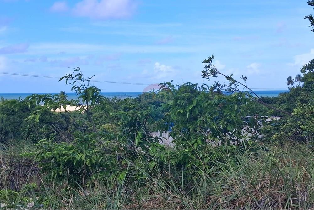 Terreno - Venda - Pitimbu , Paraíba - fd7734f1-f38f-4434-b135-bc52eaa3bee6.jpg - 720871044-59