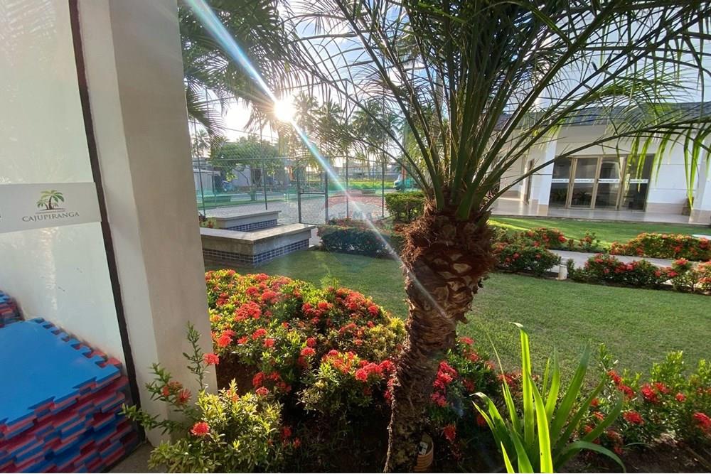 Terreno - Venda - Parnamirim , Rio Grande do Norte - 582a2002-44b6-4971-a453-8c2a6b5e0fc3.jpg - 720891155-325