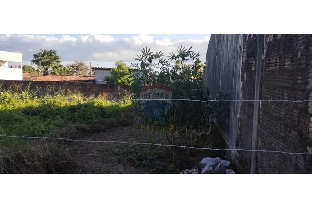 Terreno - Venda - Natal , Rio Grande do Norte - WhatsApp Image 2025-07-27 at 13.54.24 (1).jpeg - 720891003-88