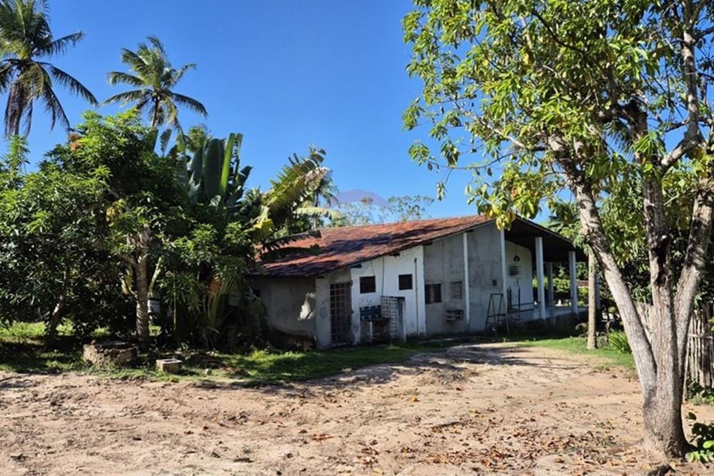 Chácara / Sítio / Fazenda - Venda - Mamanguape , Paraíba - 20250207_145806.jpg - 722011055-45