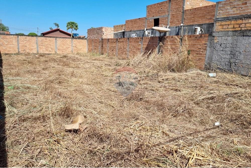 Terreno - Venda - Confresa , Mato Grosso - IMG-20250801-WA0028.jpg - 720641046-1