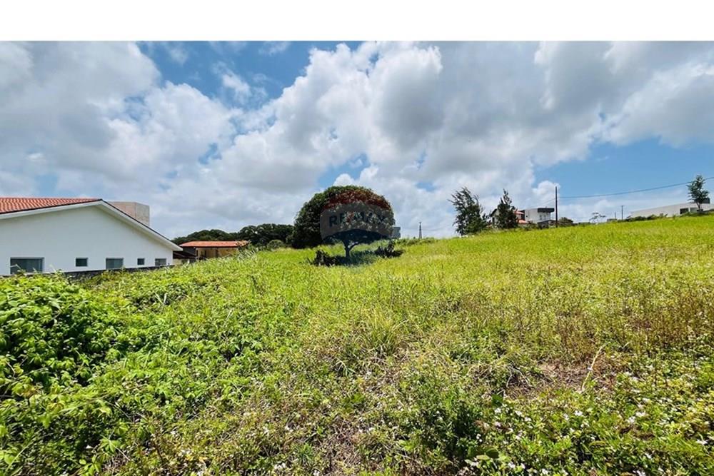 Terreno - Venda - Conde , Paraíba - WhatsApp Image 2025-09-24 at 13.37.00 (1).jpeg - 720871004-211