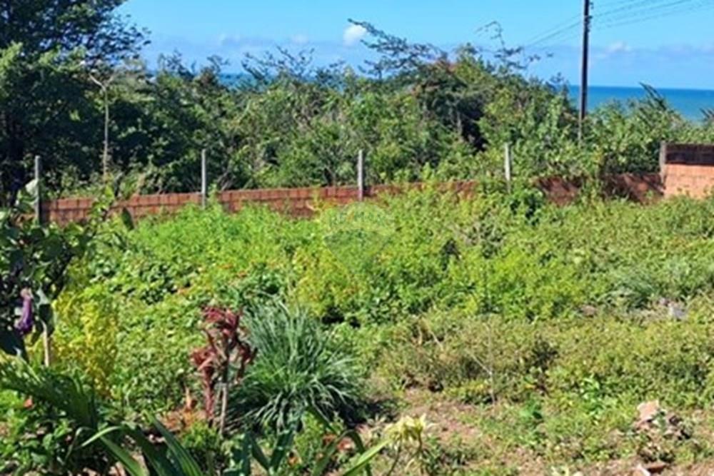Terreno - Venda - Pitimbu , Paraíba - 3668485a-50ca-4a38-9611-c788cd52ec36.jpeg - 720871044-85