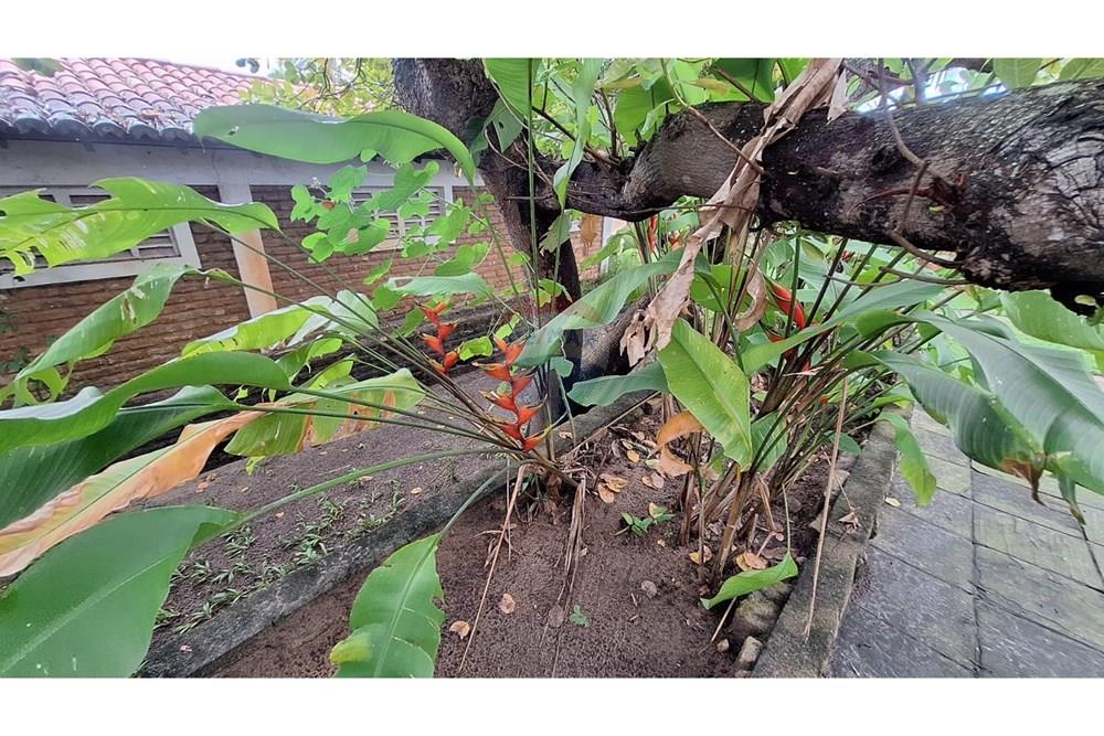 Casa - Venda - Ceará-Mirim , Rio Grande do Norte - WhatsApp Image 2025-09-24 at 13.51.53.jpeg - 720891151-59