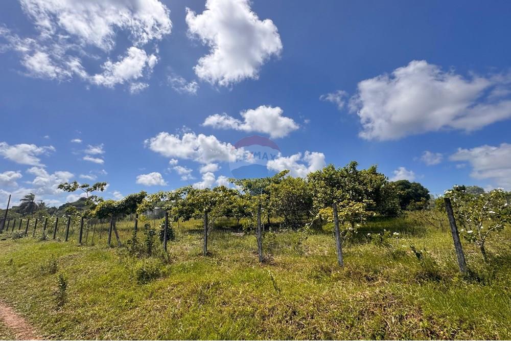 Terreno - Venda - Conde , Paraíba - 20.jpg - 720471011-115