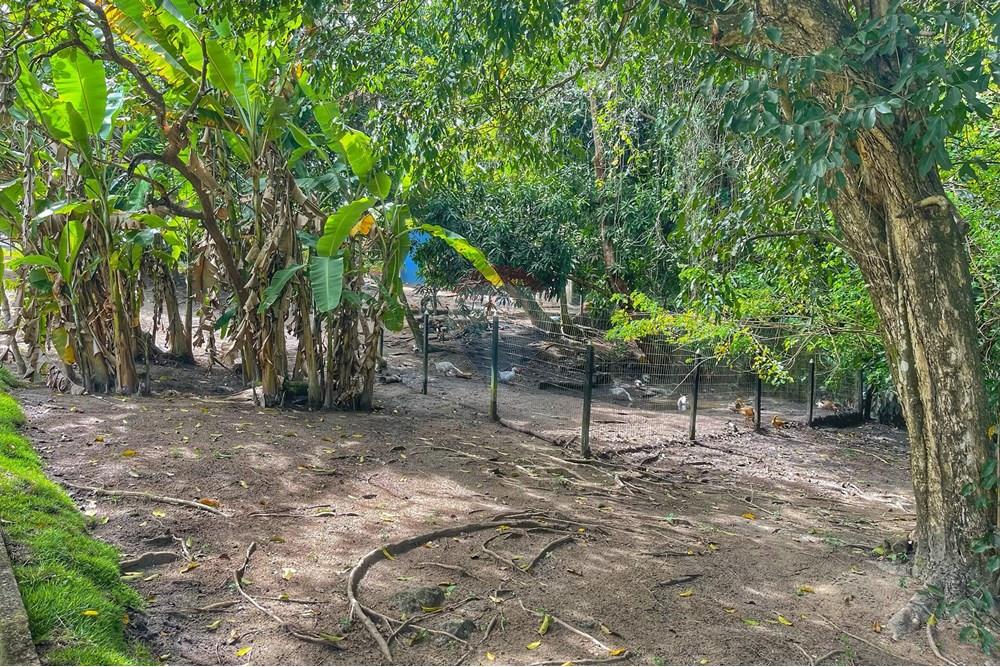 Terreno - Venda - Conde , Paraíba - WhatsApp Image 2024-07-24 at 14.36.00 (1).jpeg - 720871004-166