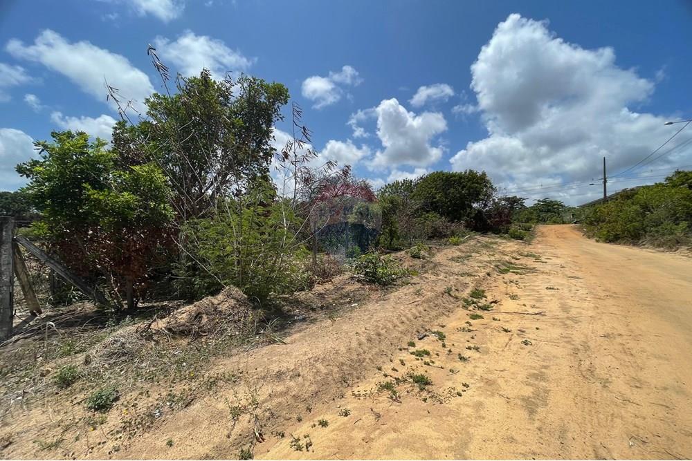 Terreno - Venda - Conde , Paraíba - WhatsApp Image 2025-01-02 at 15.01.12.jpeg - 720871004-173