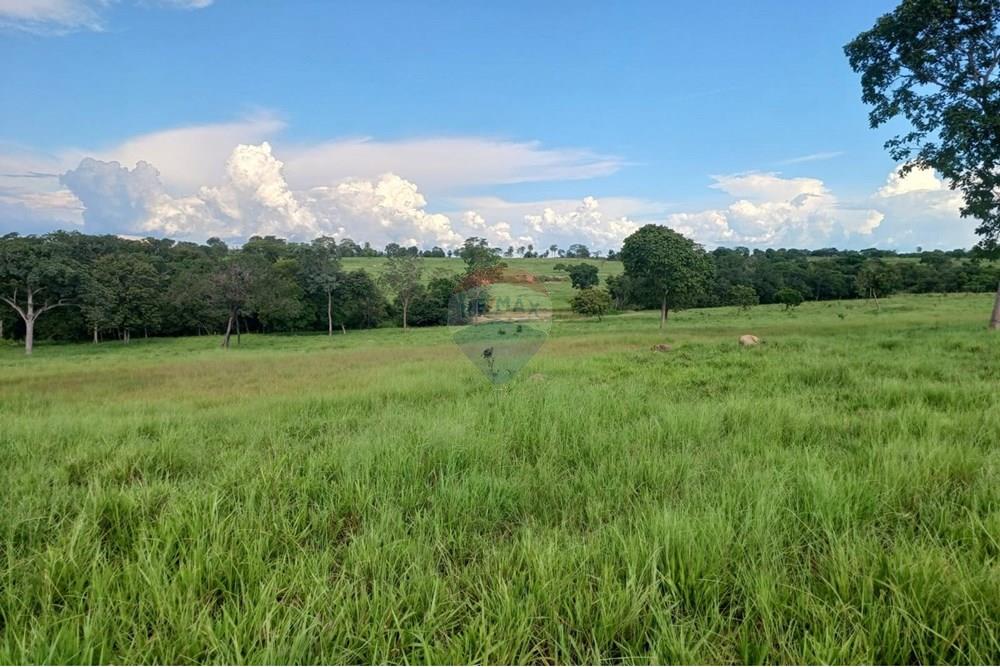 Chácara / Sítio / Fazenda - Venda - São José do Povo , Mato Grosso - WhatsApp Image 2025-04-03 at 17.01.52 (1).jpeg - 722261017-2