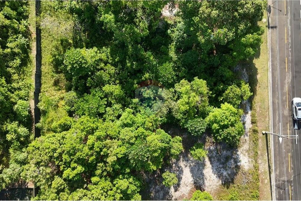 Terreno - Venda - Manaus , Amazonas - 19e8e8b2-0496-4ca9-83ae-54796b2fe6d4.jpeg - 720401067-23
