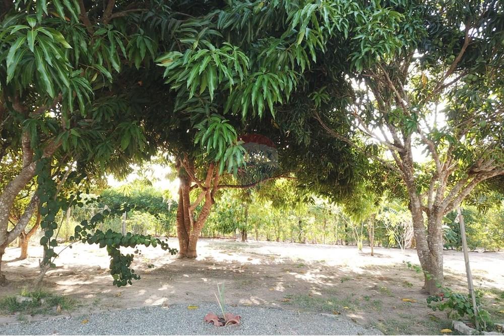 Chácara / Sítio / Fazenda - Venda - Parauapebas , Pará - IMG-20250908-WA0165.jpg - 722021013-13