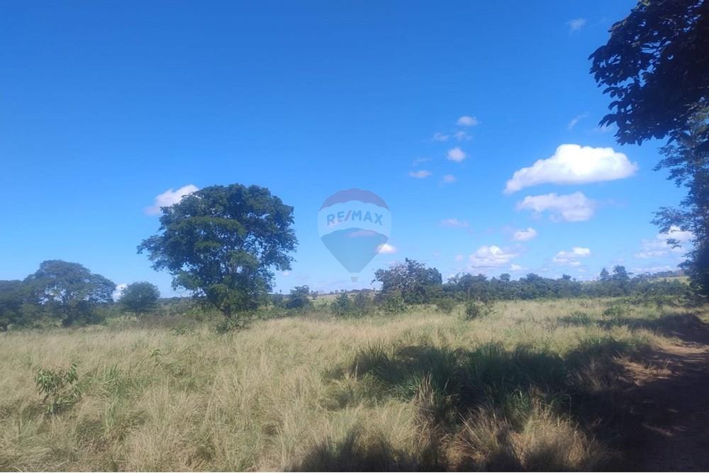 Chácara / Sítio / Fazenda - Venda - Confresa , Mato Grosso - IMG-20250926-WA0049.jpg - 720641046-11