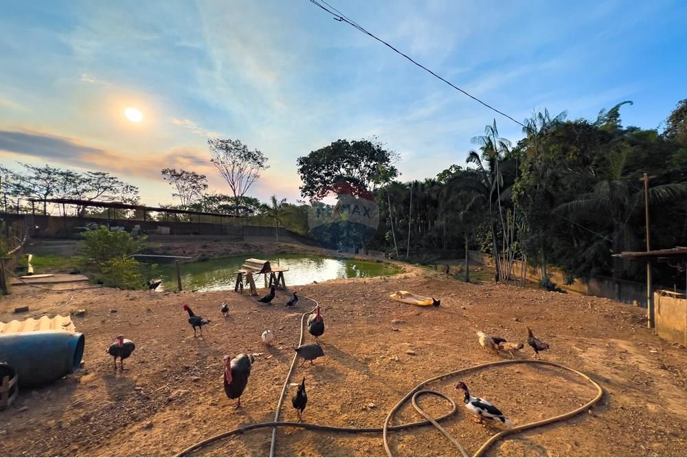Chácara / Sítio / Fazenda - Venda - Porto Velho , Rondônia - IMG_6071.jpg - 721551039-41