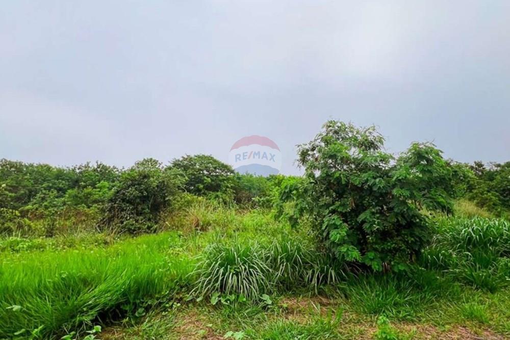 Terreno - Venda - Manaus , Amazonas - Captura de tela 2025-03-14 182713_pages-to-jpg-0010.jpg - 720661004-49