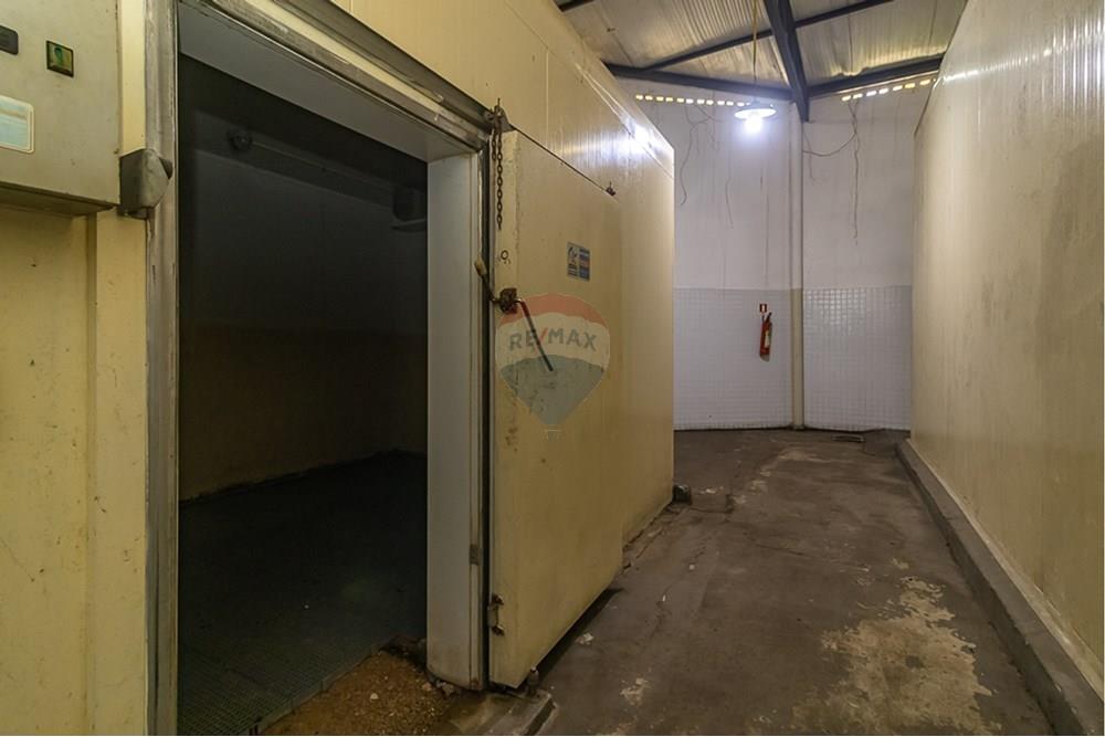 Galpão - Venda - Distrito de Icoaraci , Pará - IMG_5824.jpg - 720921067-61