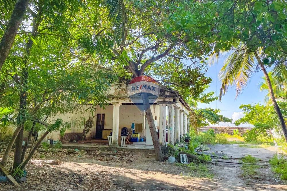 Terreno - Venda - São Gonçalo do Amarante , Ceará - e0e5f79e-8d6d-4dba-b74f-0314fd4b1f36.jpeg - 721621169-102