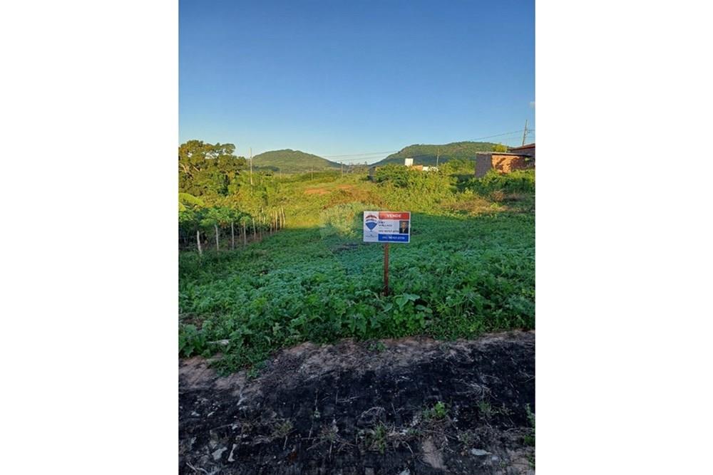 Terreno - Venda - Pirpirituba , Paraíba - WhatsApp Image 2025-06-19 at 11.47.55.jpeg - 720551007-20