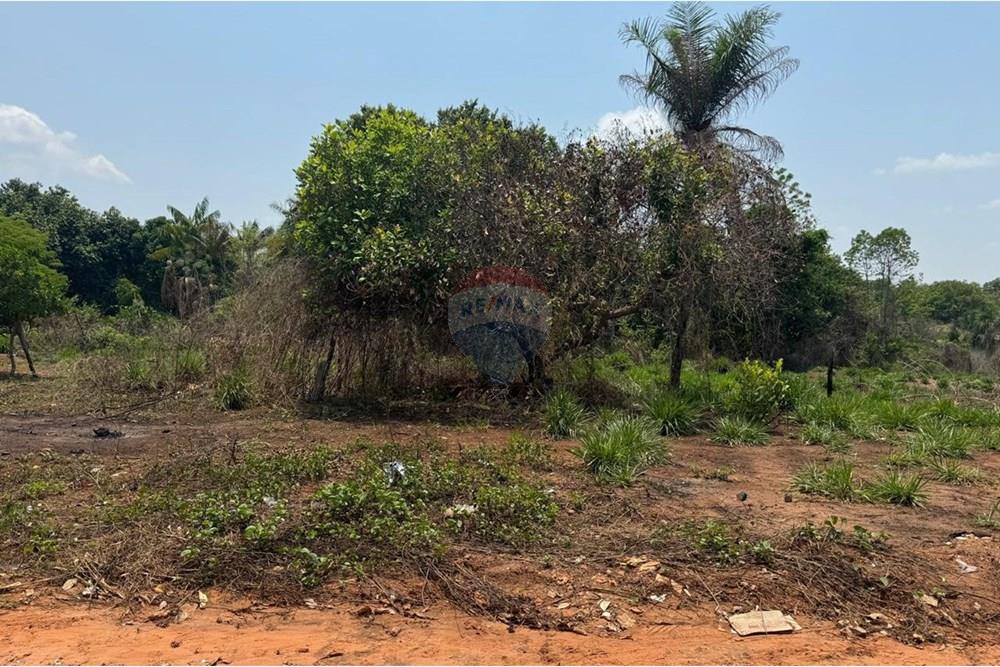 Terreno - Venda - Araguaína , Tocantins - WhatsApp Image 2024-11-29 at 17.45.36 (1).jpeg - 722171003-95