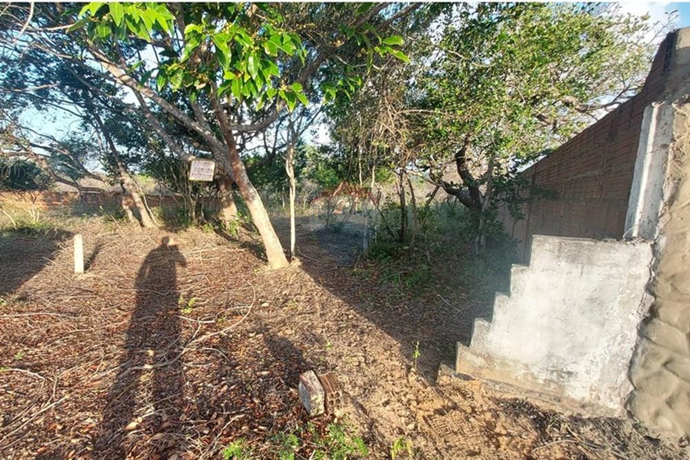 Terreno - Venda - Nísia Floresta , Rio Grande do Norte - Foto local (3).jpg - 720891234-10