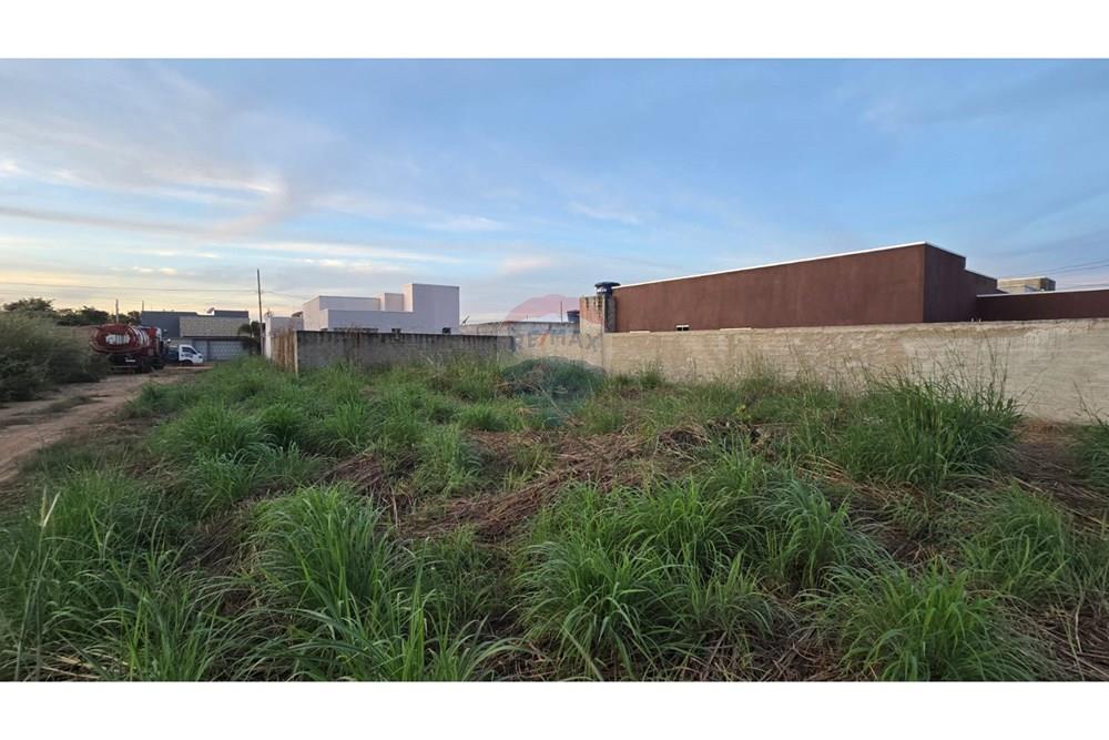 Terreno - Venda - Confresa , Mato Grosso - IMG-20250515-WA0427.jpg - 720641029-47