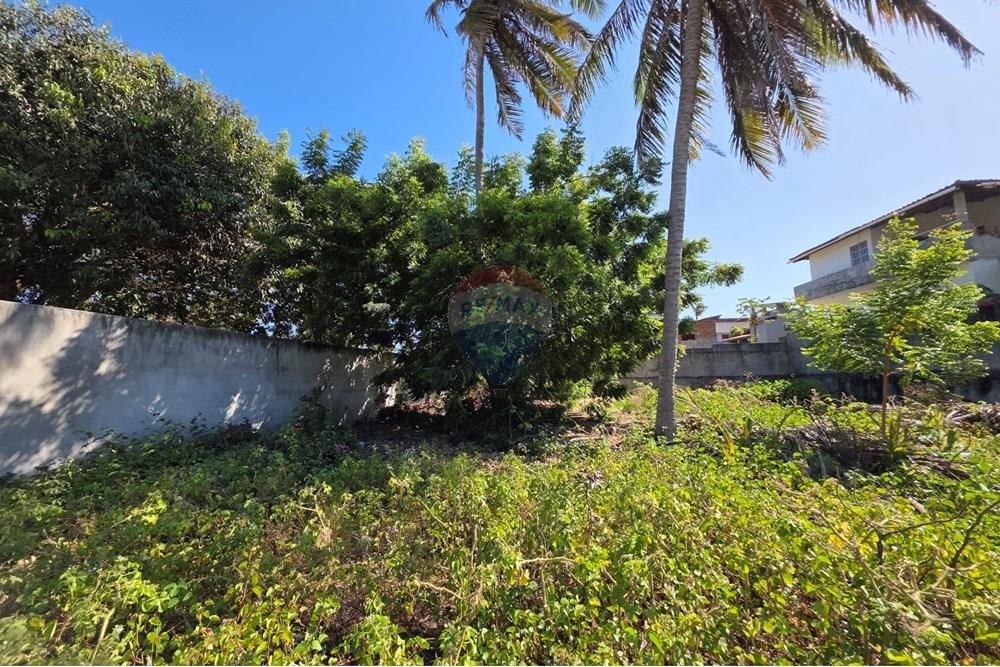 Terreno - Venda - Trairi , Ceará - 1000193111.jpg - 722341001-100