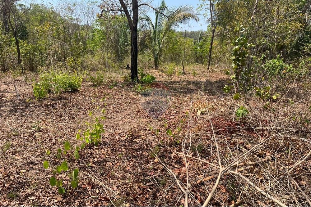 Chácara / Sítio / Fazenda - Venda - Rondonópolis , Mato Grosso - WhatsApp Image 2025-10-08 at 16.18.12 (2).jpeg - 720611061-19