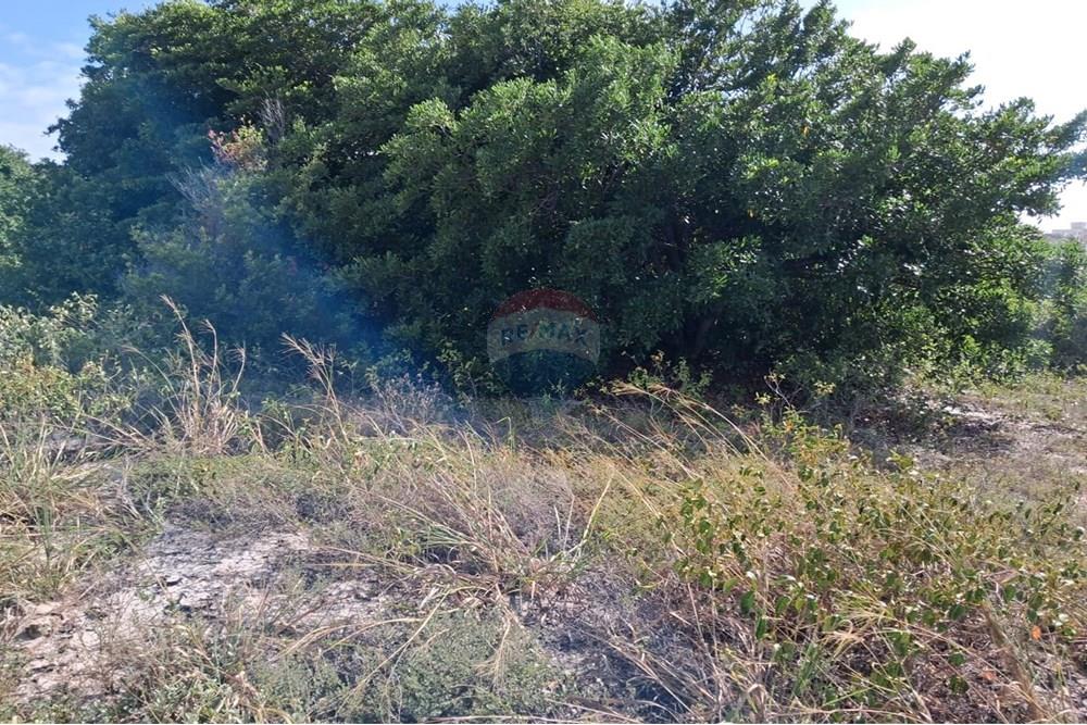 Terreno - Venda - Conde , Paraíba - 0491e95b-a201-4148-bd90-929d99de553c.jpeg - 720871044-69