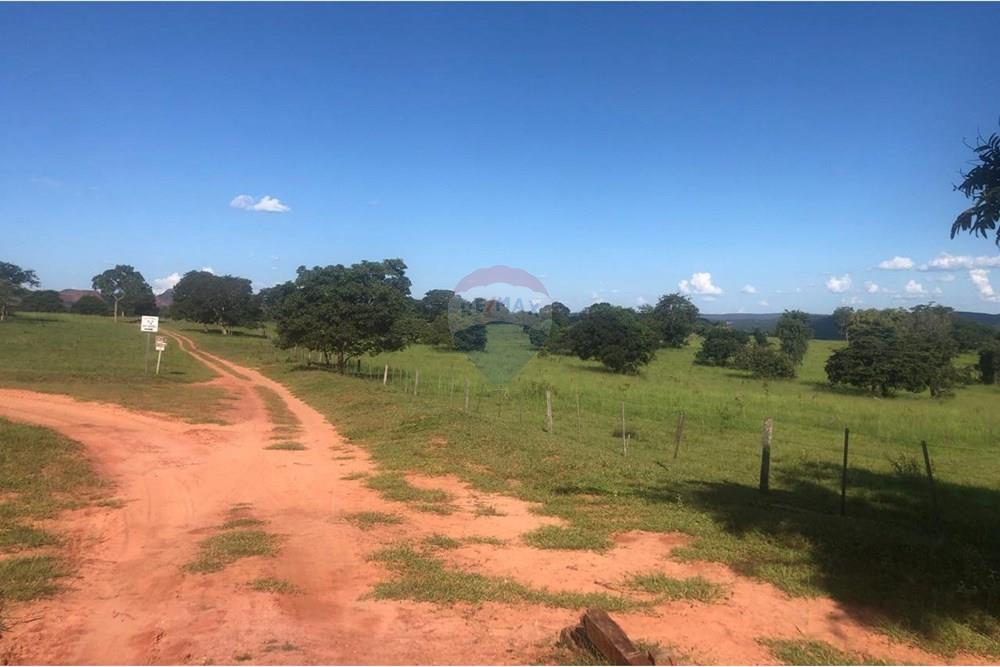 Fazenda - Venda - Guiratinga , Mato Grosso - IMG-20250812-WA0122.jpg - 721981068-2